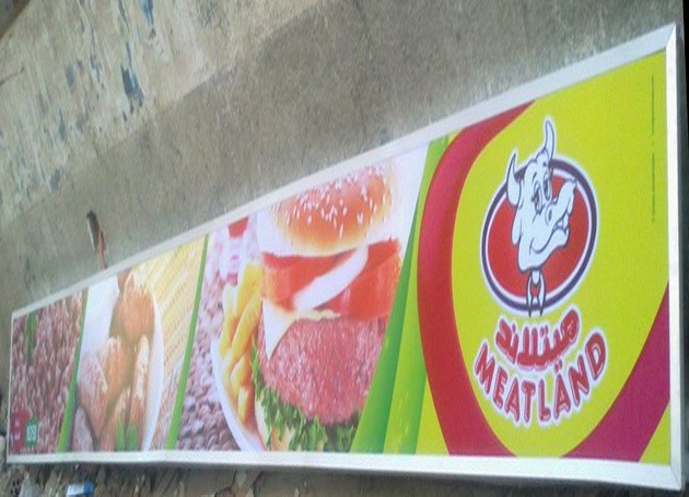 1484164_526881150743901_1204176943_n